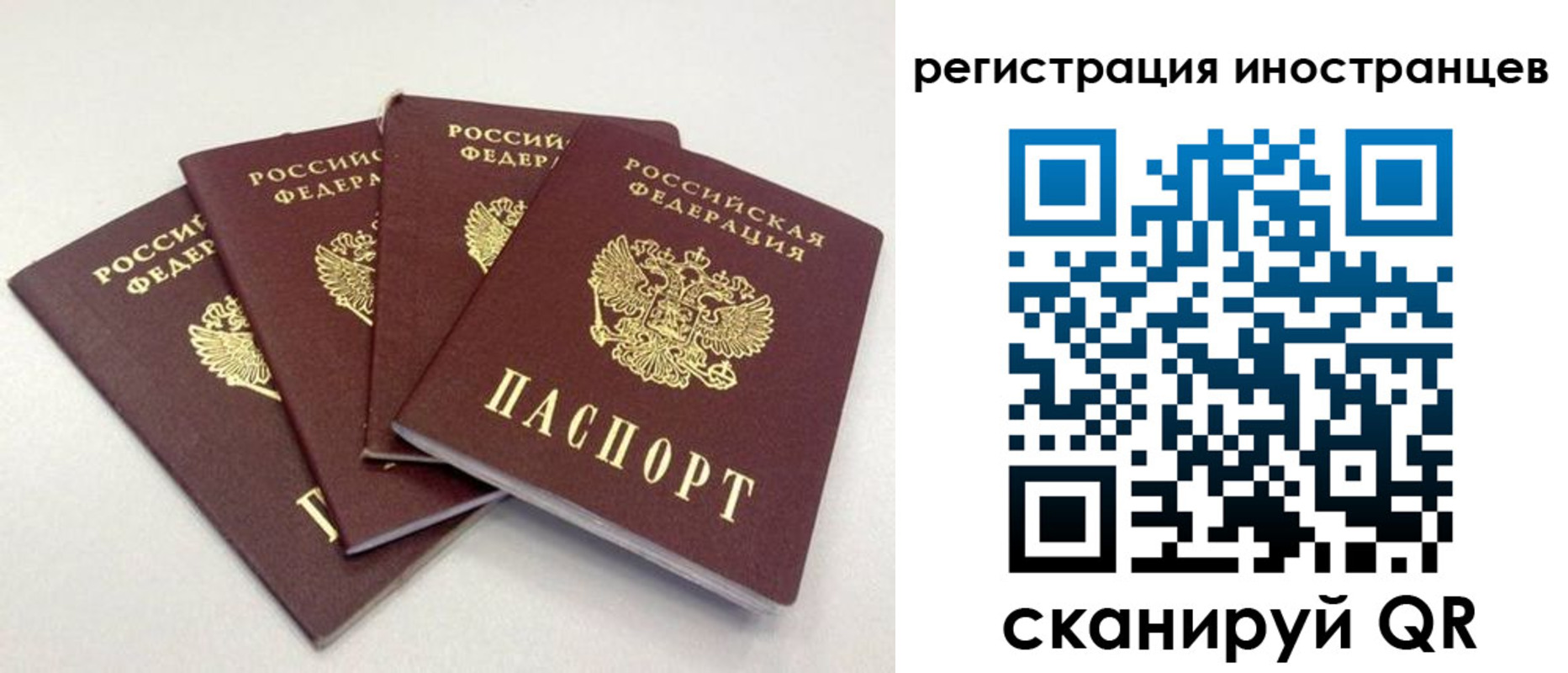 временная регистрация для школы в Воронежской области
